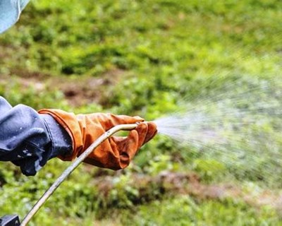 Vila Pouca de Aguiar ajuda 500 agricultores para poderem aplicar pesticidas