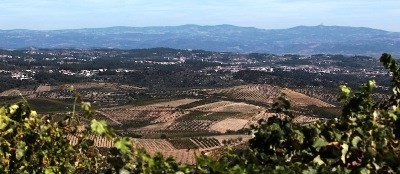 Vinhos de Trás-os-Montes à prova no Porto