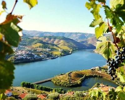 Vinhos do Douro e Porto à conquista da exportação