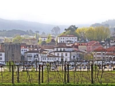 Vinhos verdes: Ponte de Lima e CVRVV homenageiam tradições vitivinícolas