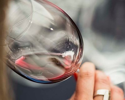 ViniPortugal promove prova de vinhos exclusiva para profissionais na Alemanha