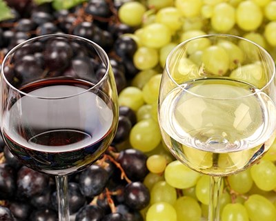 ViniPortugal promove vinhos portugueses nos mercados dos EUA e Canadá