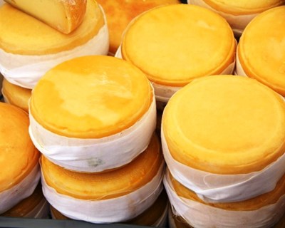 Viseu: Escola Agrária ajuda produtores de queijo a vencer burocracia