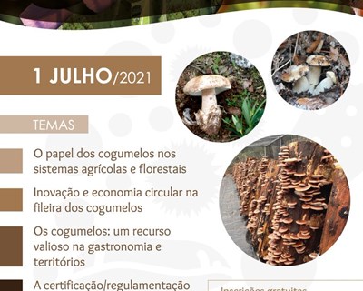 Webinar: A Fileira dos Cogumelos: o Presente e o Futuro!