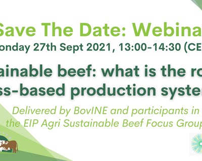 Webinar: Carne bovina sustentável - Qual o papel dos sistemas de produção a base de pasto?