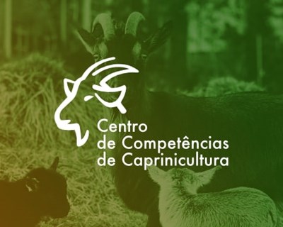 Workshop: Características da carne e do leite de caprinos em função do sistema de produção