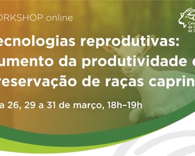 Workshop dedicado às tecnologias reprodutivas de raças caprinas acontece em março