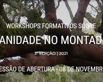 Workshops Formativos sobre a Sanidade no Montado entre os dias 8 de Novembro e 16 de Dezembro