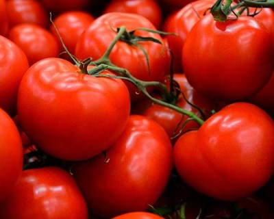 ZERO avalia origem dos produtos hortofrutícolas portugueses