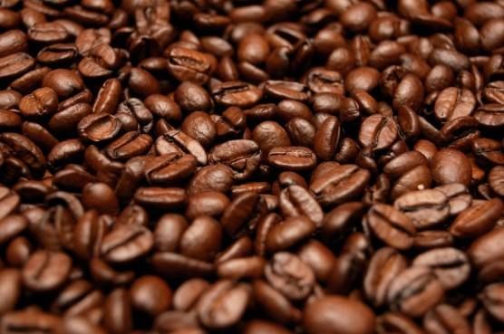 Produção de café