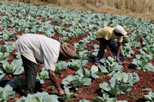 Moçambique