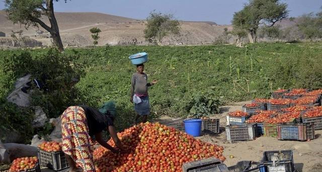 Agricultura em Angola