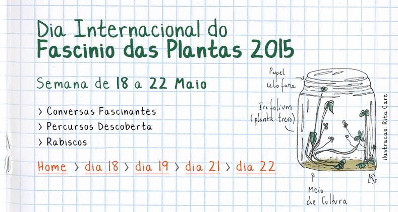 dia fascinio plantas