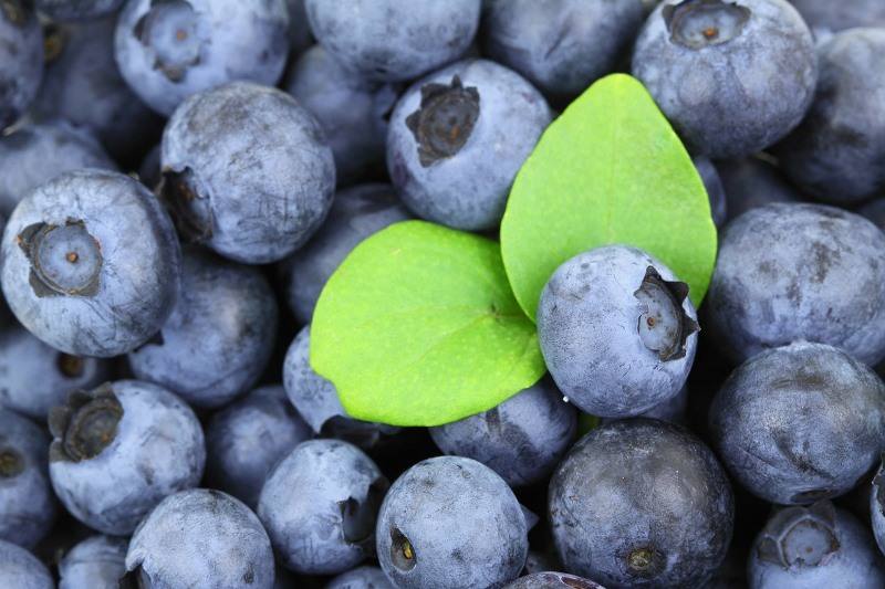 frutas e legumes