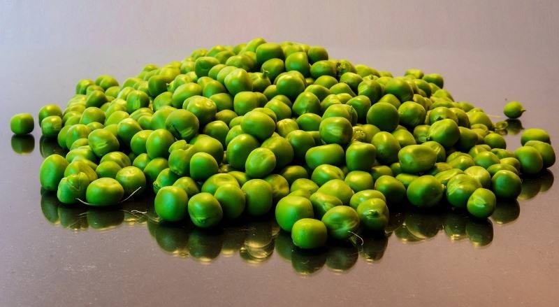 agroalimentar