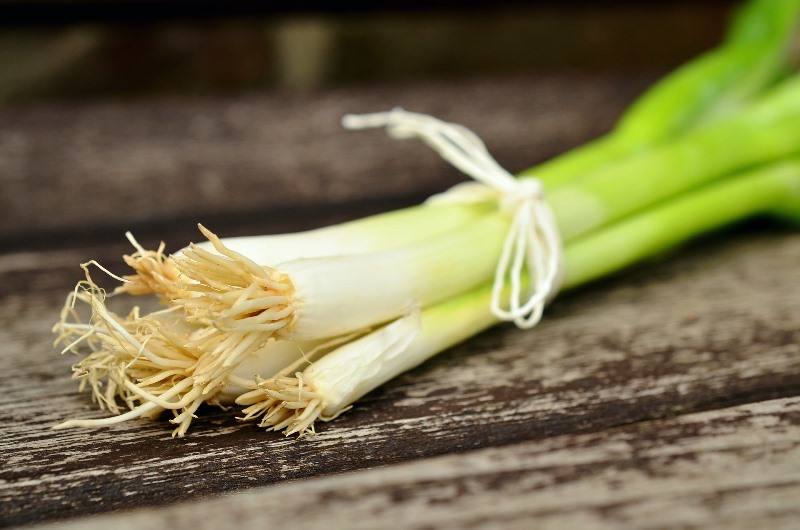agrobio