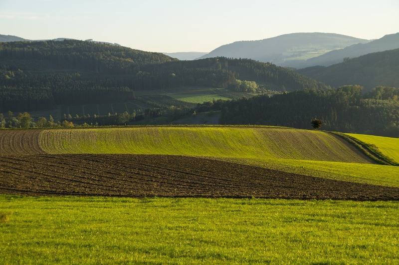 agricultura