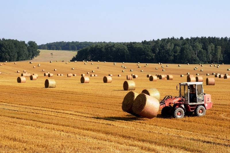 agricultura