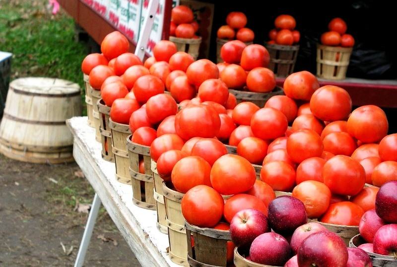 agricultura biologica