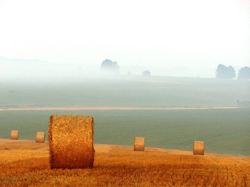 jovens agricultores