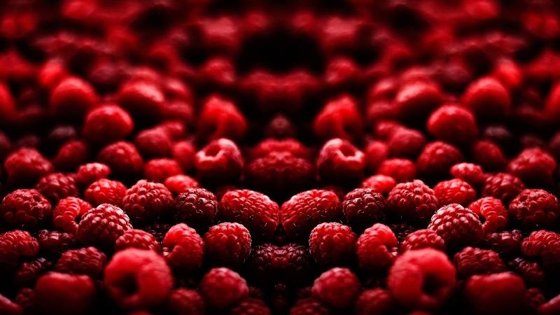 frutos vermelhos