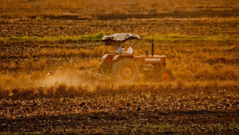 agricultura