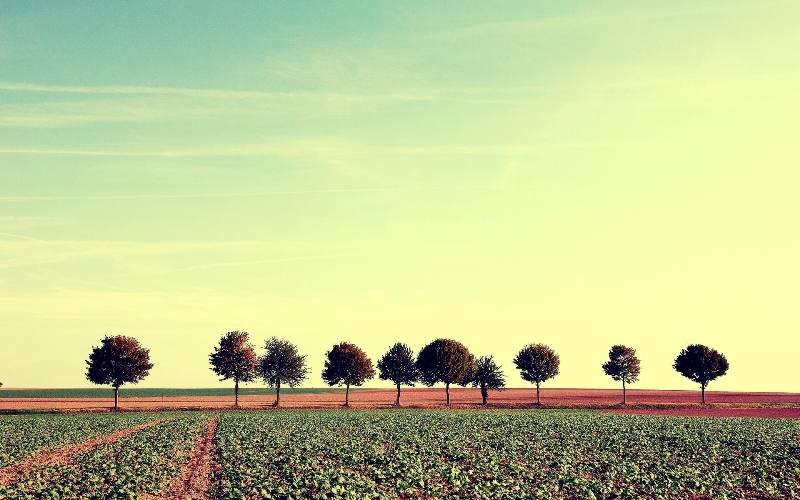 agricultura