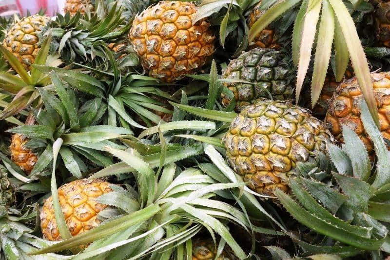 ananas