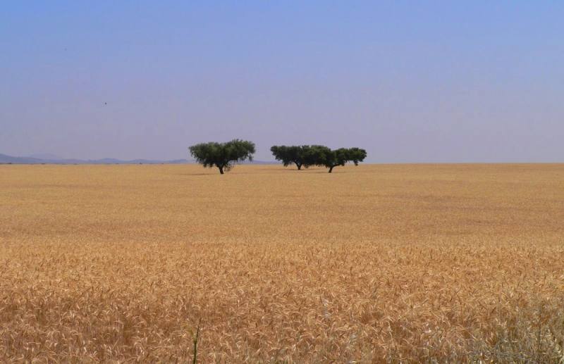 alentejo