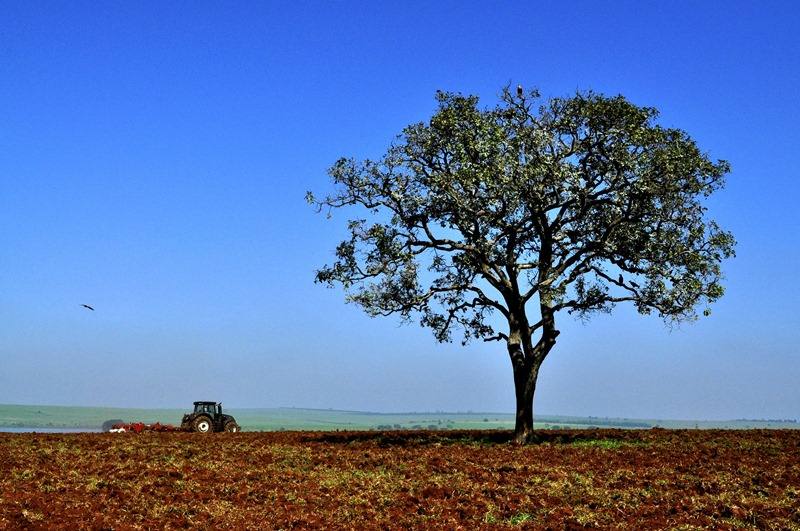 agricultura