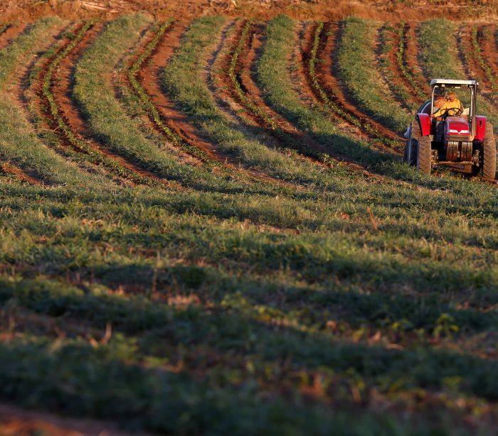 agricultura