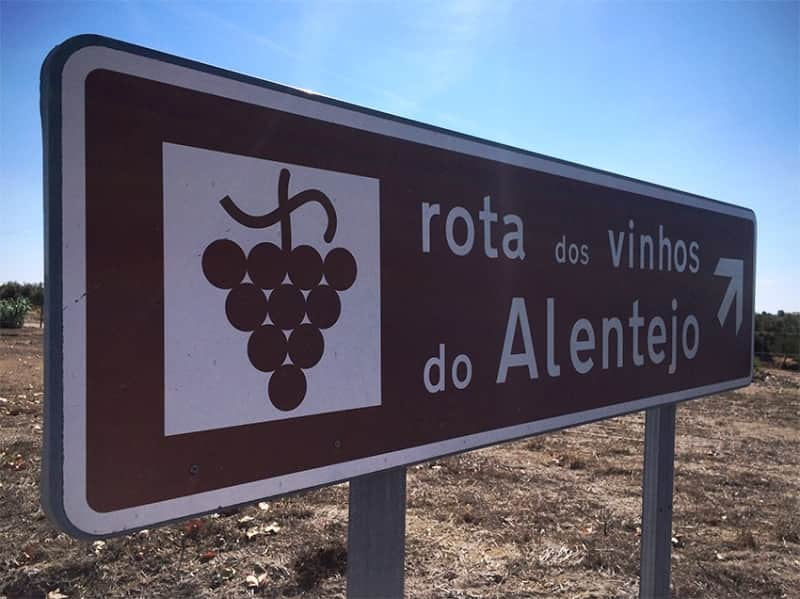 vinhos