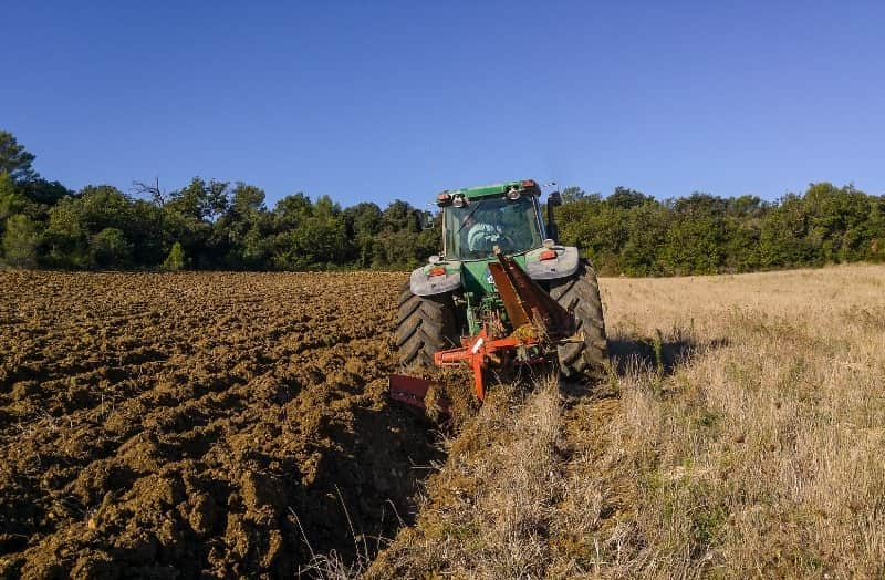 jovens agricultores