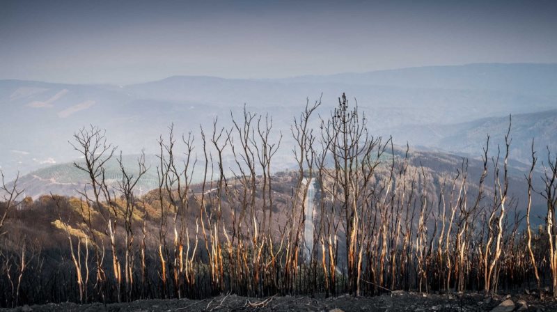 incendios