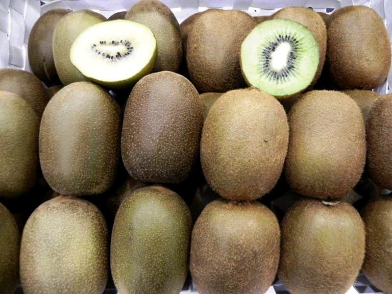 kiwi