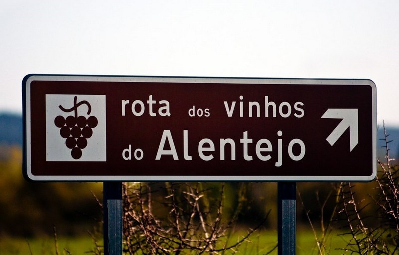 vinhos