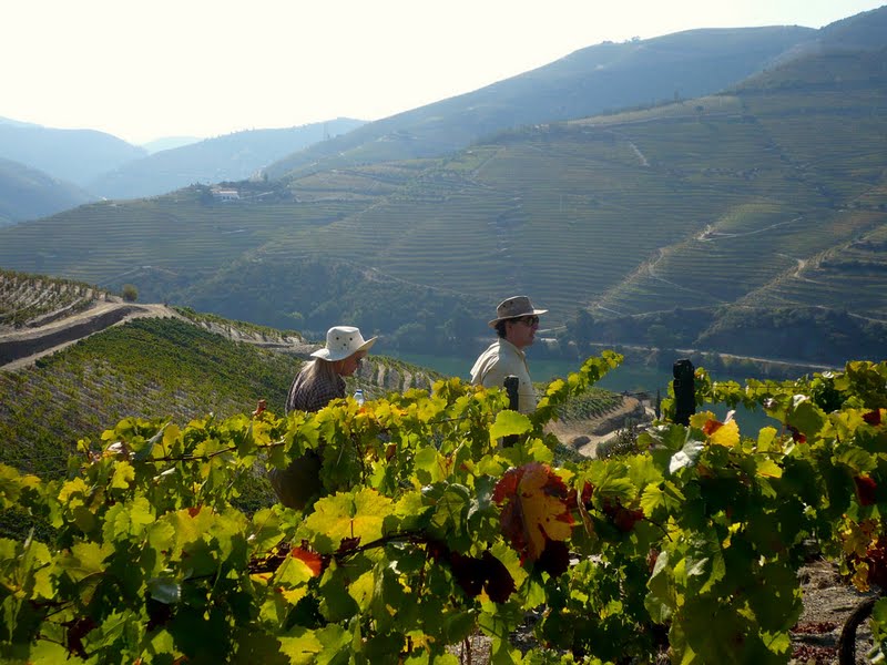 douro