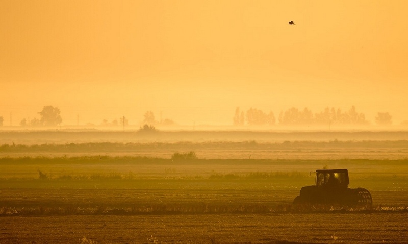 alterações climáticas