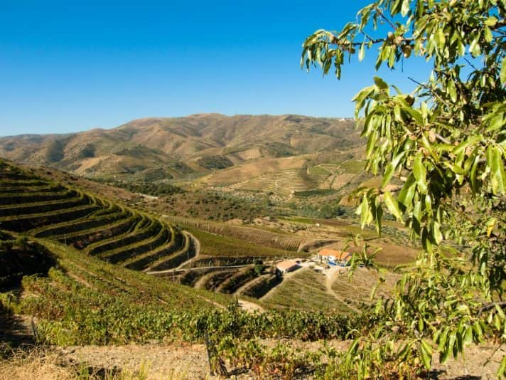 douro