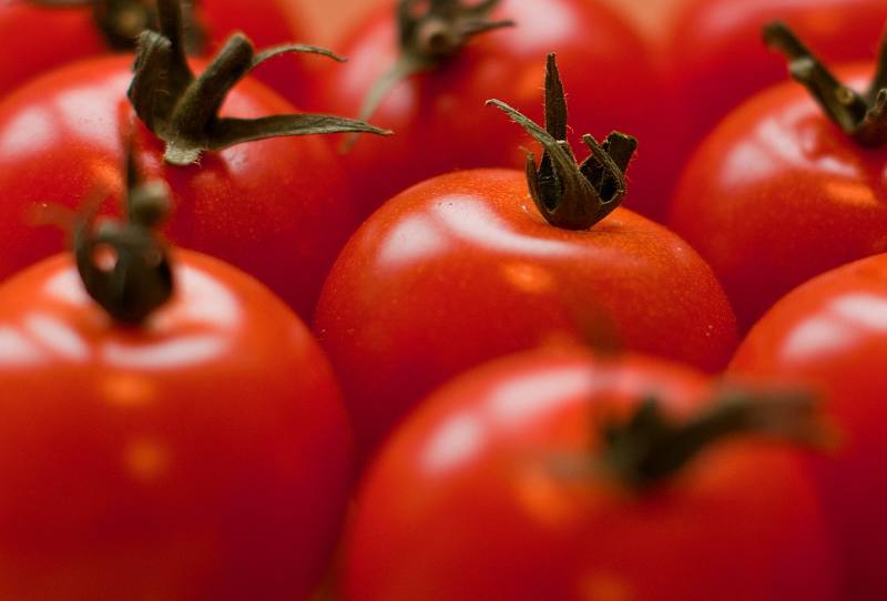 tomate