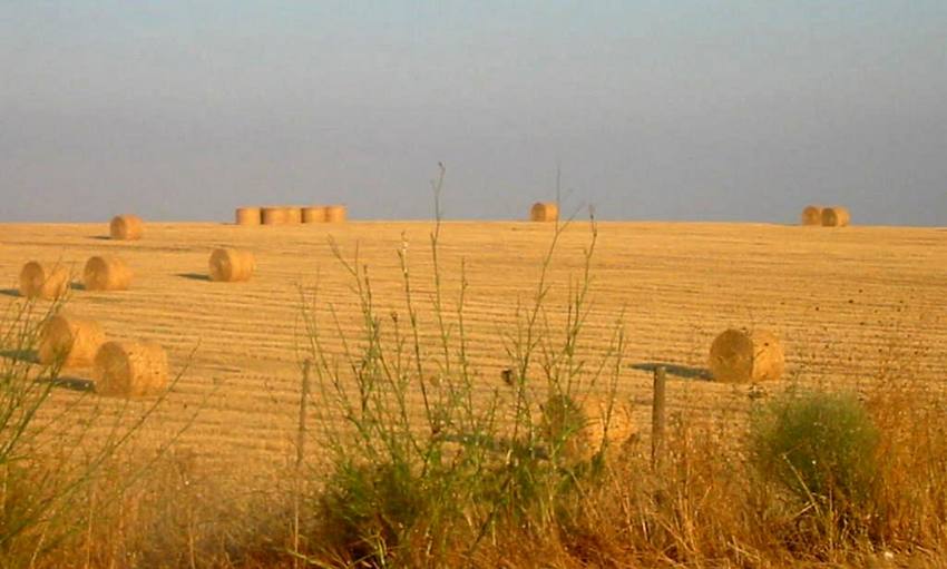 alentejo