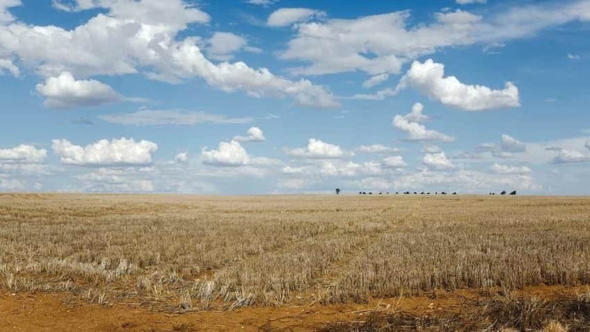 agricultura