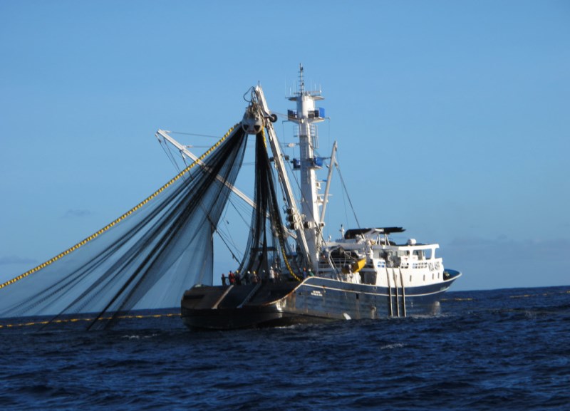 quota de pesca