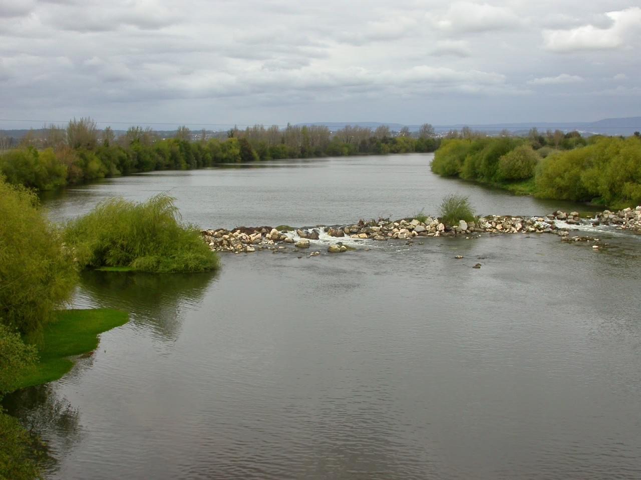 Rio Mondego