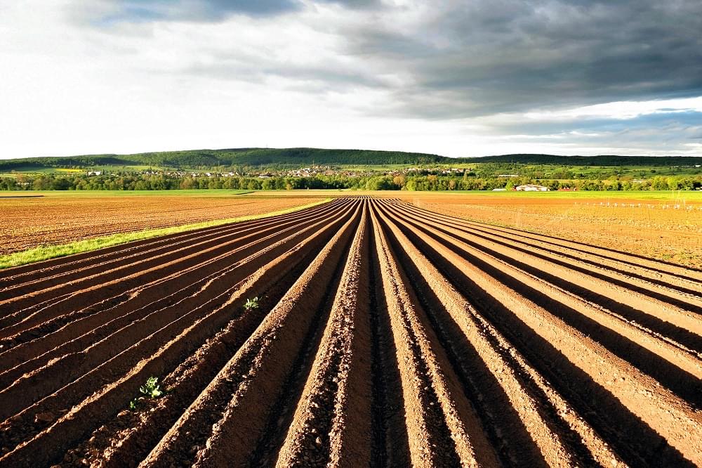 Agricultura