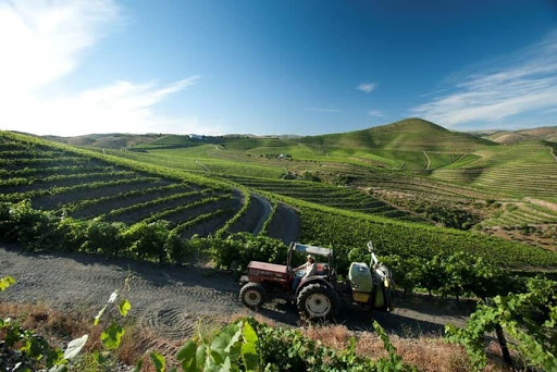 Agricultura Açores