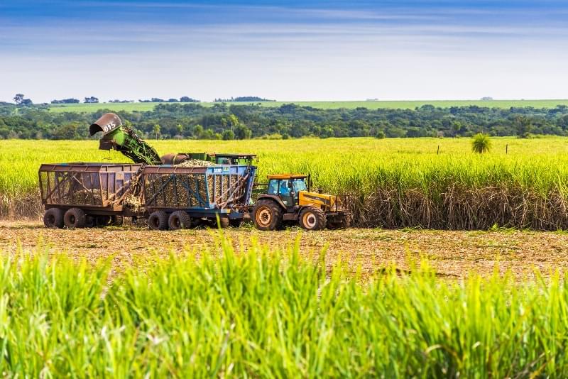 Agricultura