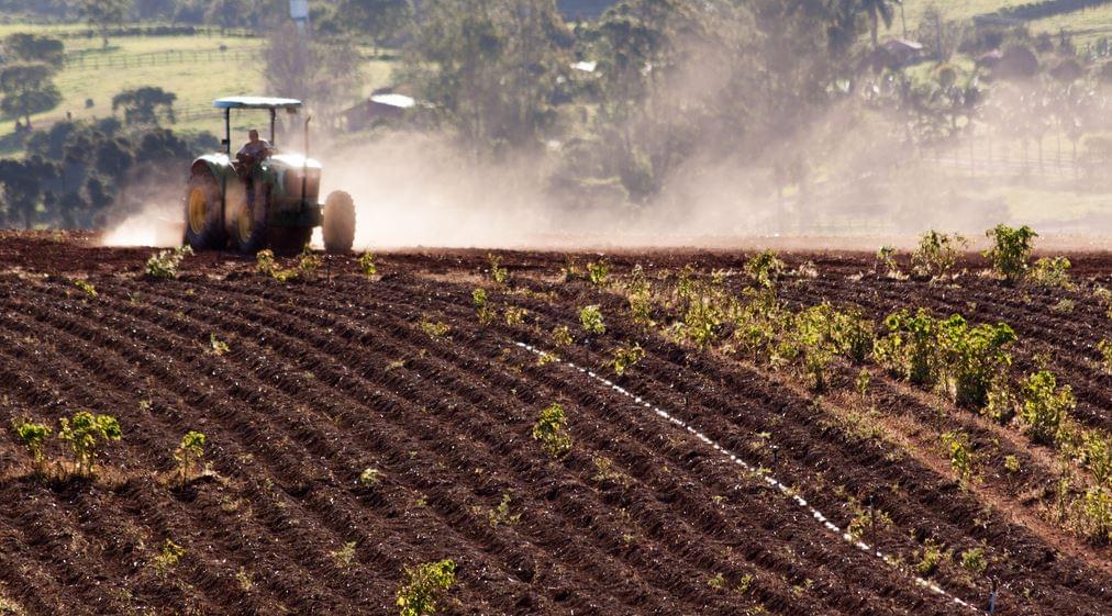 Agricultura