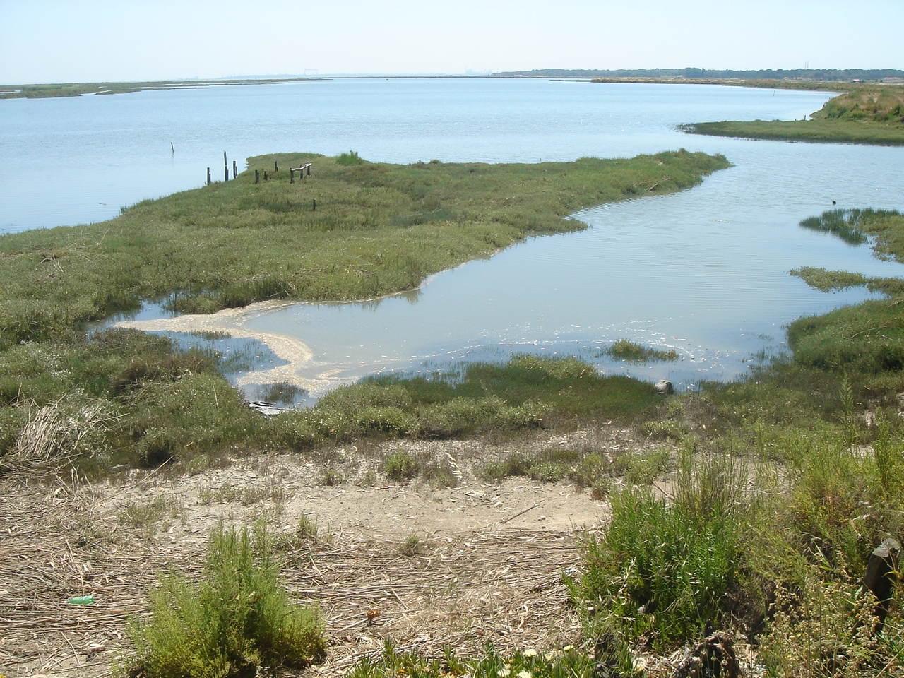 Investigação biodiversidade