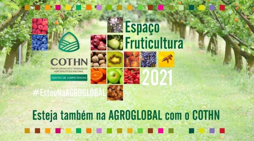 COTHN-CC Espaço Fruticultura Agroglobal 2021